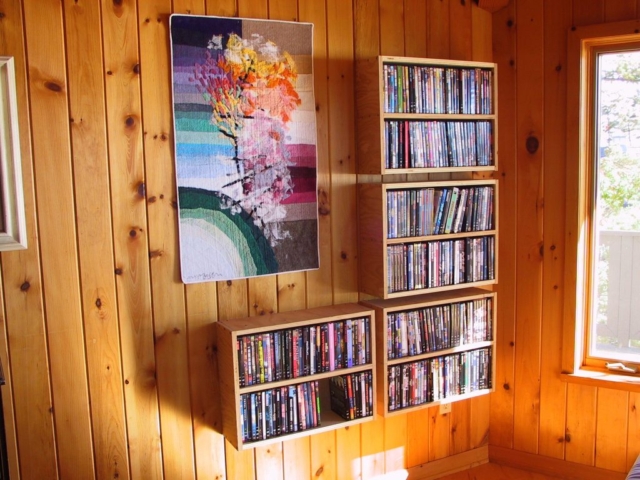 DVD Book Shelves